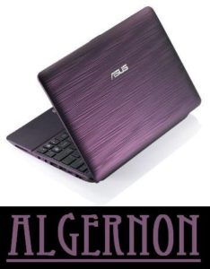 Algernon - the netbook and statement piece